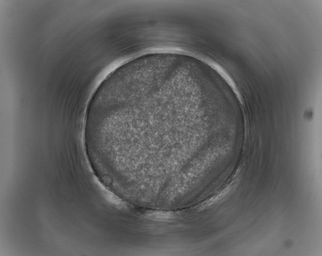 X0000096711245200802261621