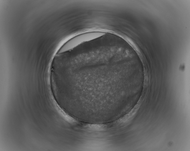 X0000096711246200802261621