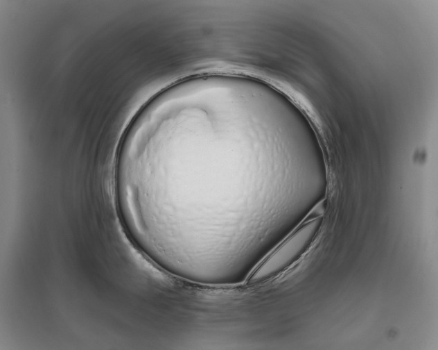 X0000096711247200802261621