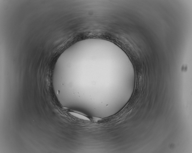 X0000096711250200802261621