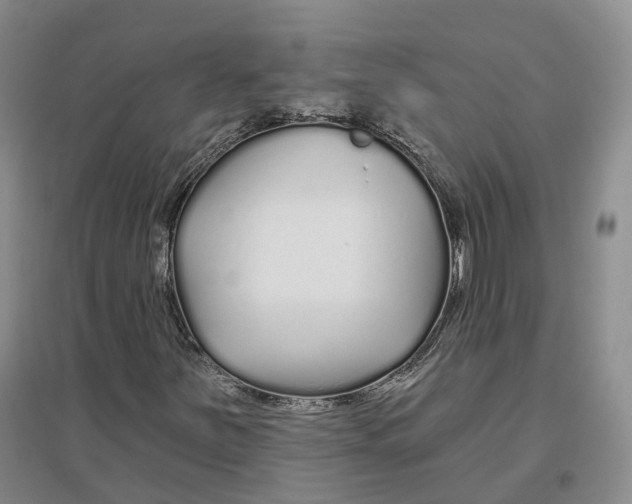 X0000096711251200802261621