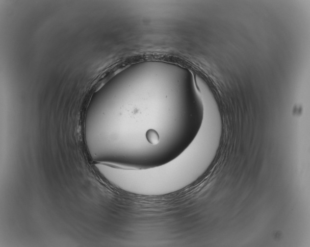 X0000096711252200802261621