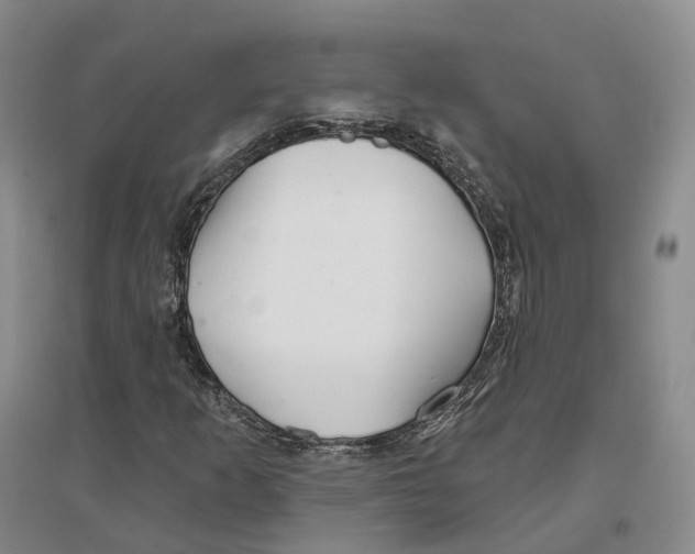 X0000096711253200802261621