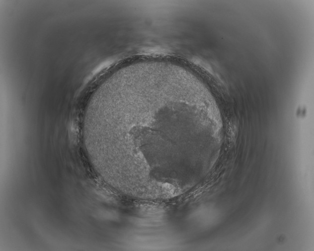 X0000096711254200802261621