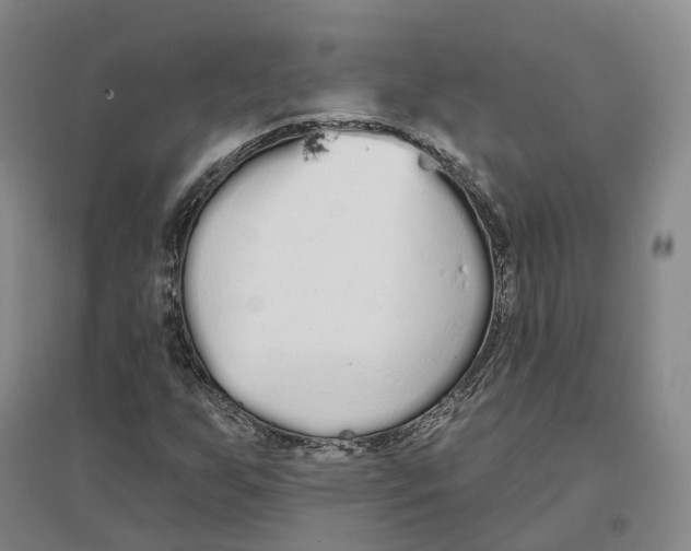 X0000096711255200802261621