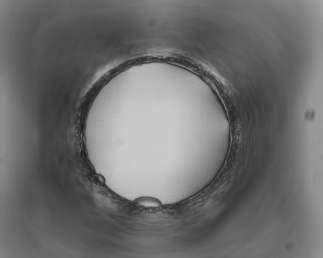 X0000096711256200802261620