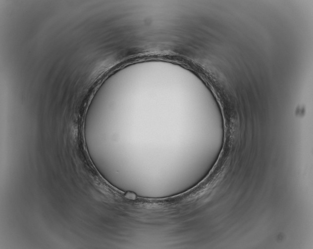 X0000096711257200802261620