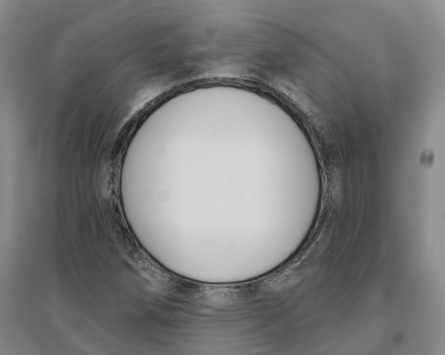 X0000096711258200802261620