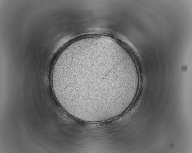 X0000096711259200802261620