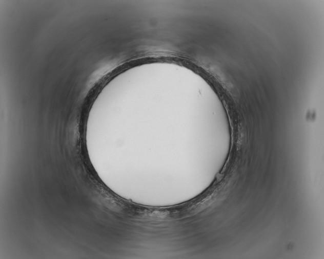 X0000096711261200802261620