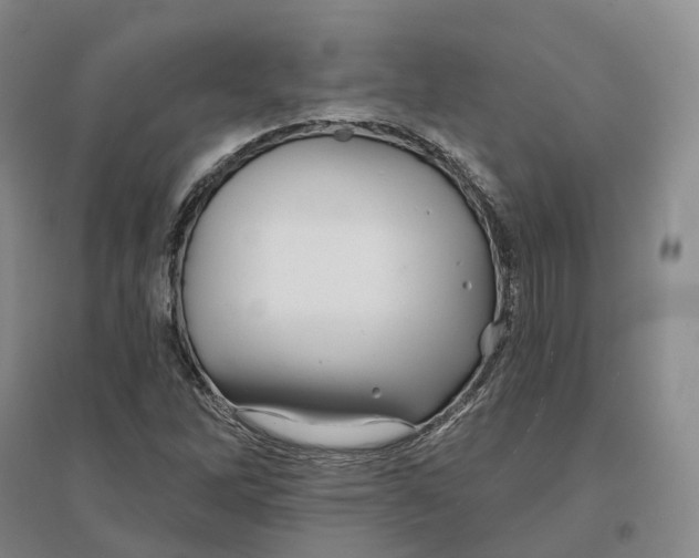 X0000096711262200802261620