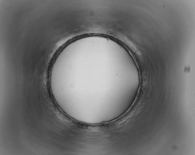 X0000096711264200802261620