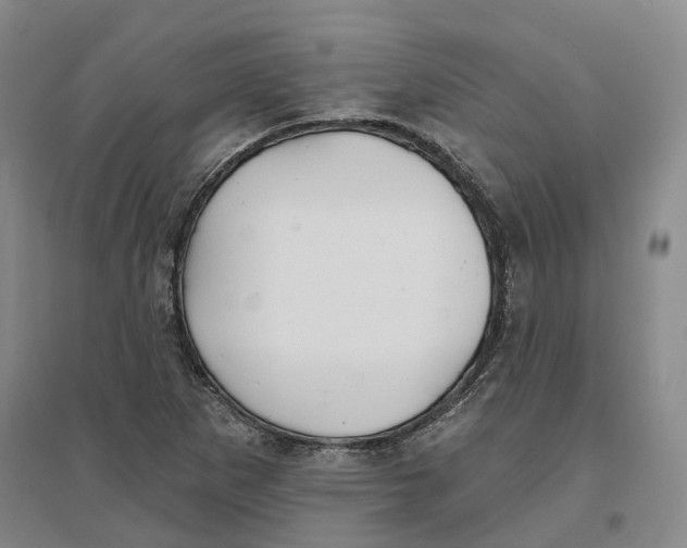 X0000096711265200802261620