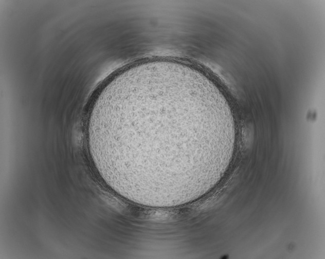 X0000096711266200802261620