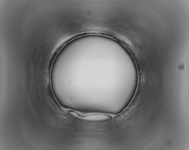 X0000096711267200802261620