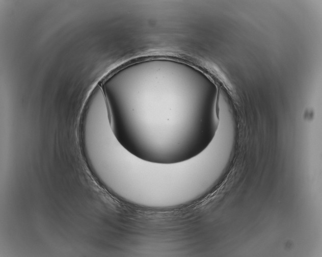 X0000096711268200802261620