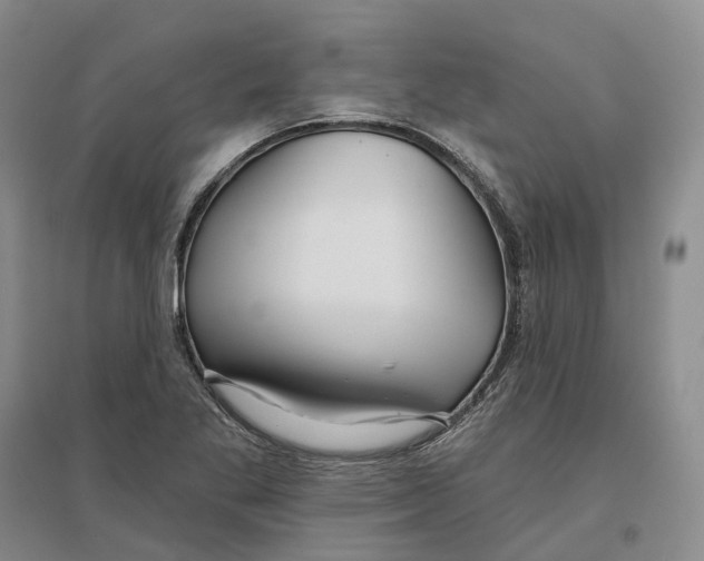 X0000096711269200802261620