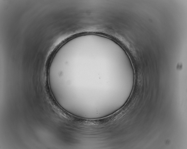 X0000096711270200802261620