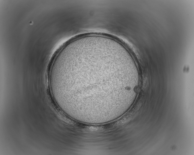 X0000096711271200802261620