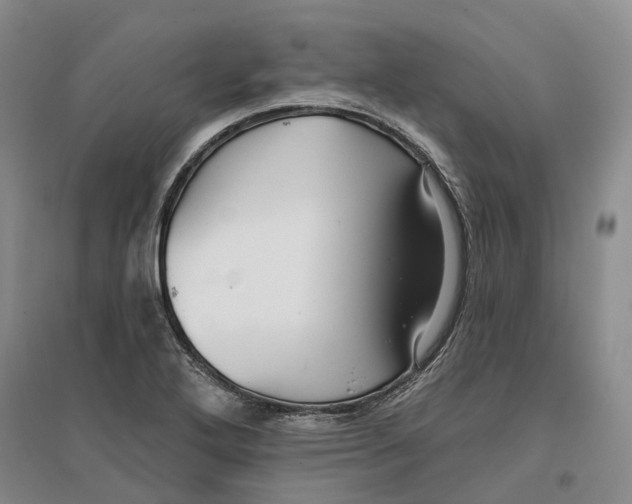 X0000096711272200802261620