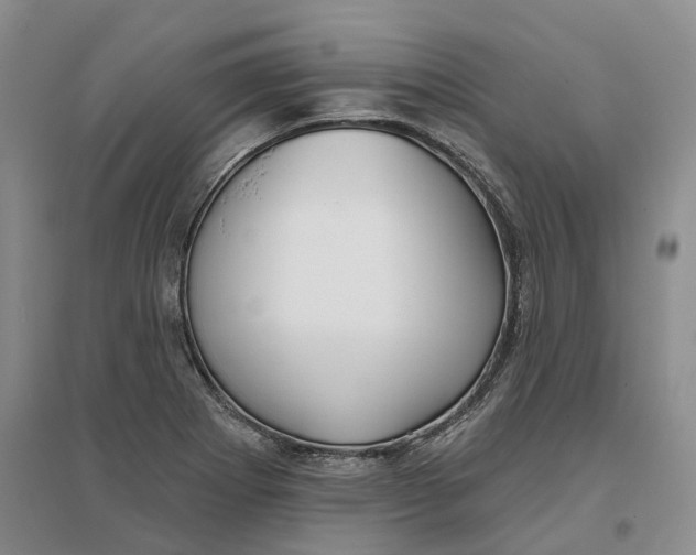 X0000096711273200802261620