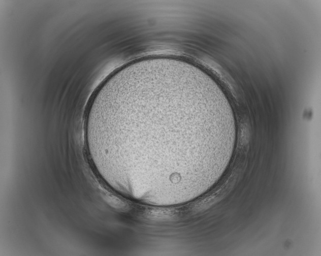 X0000096711274200802261620