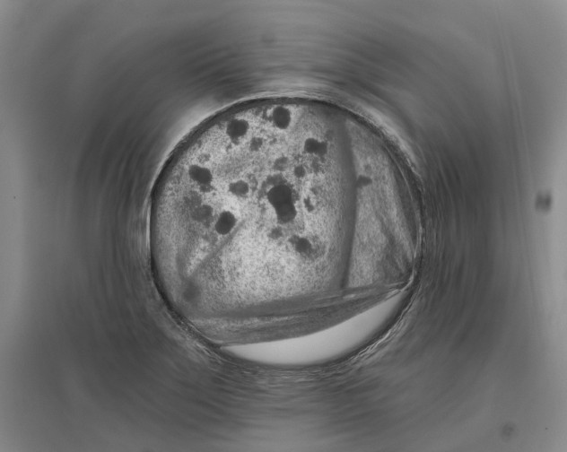 X0000096711275200802261620