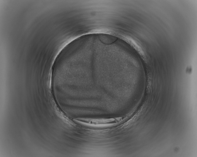 X0000096711276200802261620