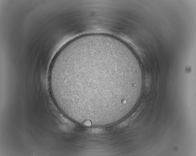 X0000096711278200802261620