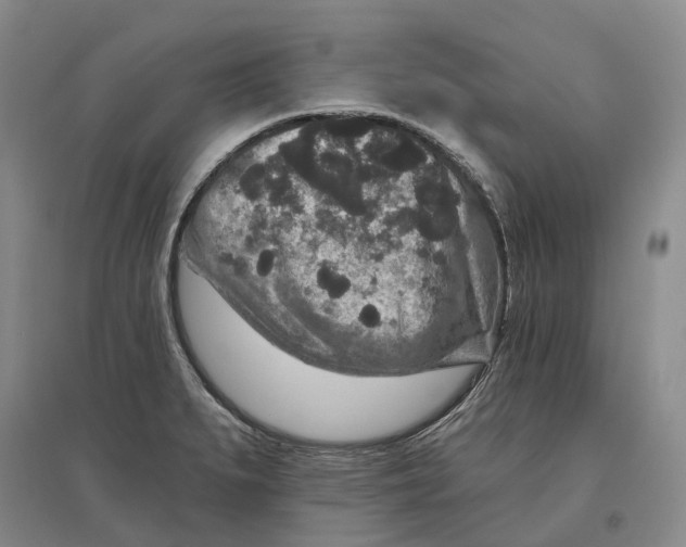 X0000096711279200802261620