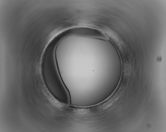 X0000096711280200802261620