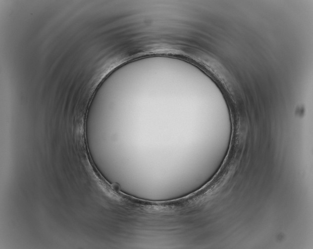 X0000096711281200802261620