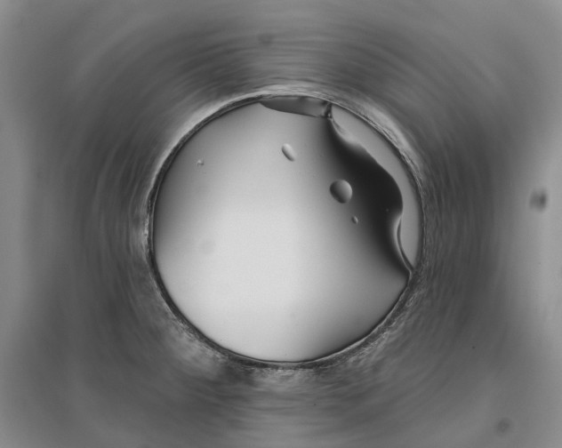 X0000096711284200802261620