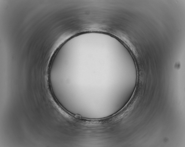 X0000096711285200802261620