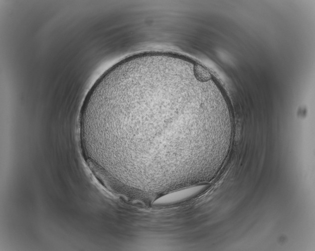 X0000096711287200802261620