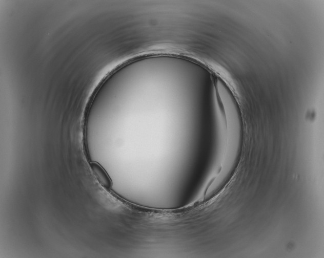 X0000096711288200802261620