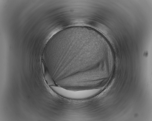 X0000096711289200802261620