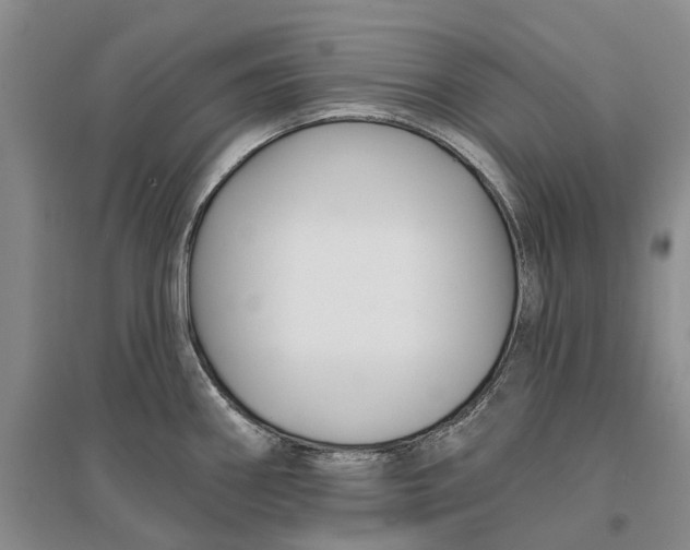 X0000096711290200802261620