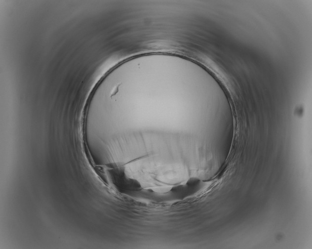 X0000096711291200802261620