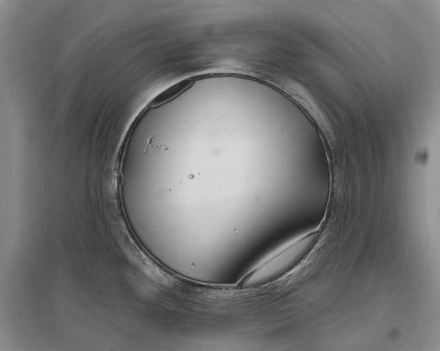 X0000096711292200802261620