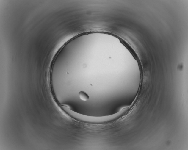 X0000096711293200802261620