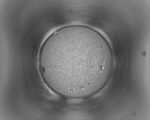 X0000096711294200802261620