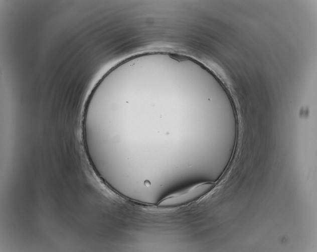 X0000096711296200802261620