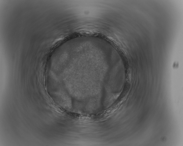 X0000096711297200802261619