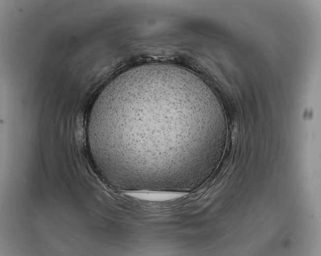 X0000096711298200802261619