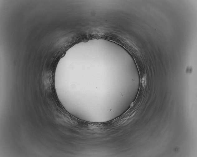 X0000096711299200802261619