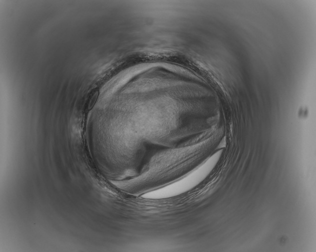 X0000096711300200802261619