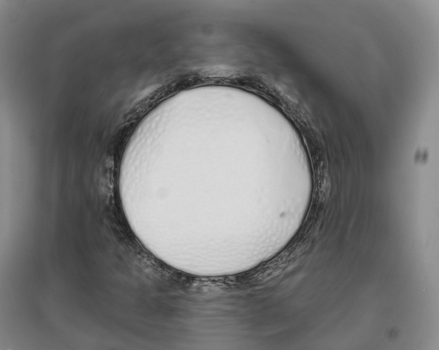 X0000096711301200802261619