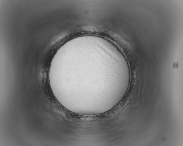 X0000096711302200802261619