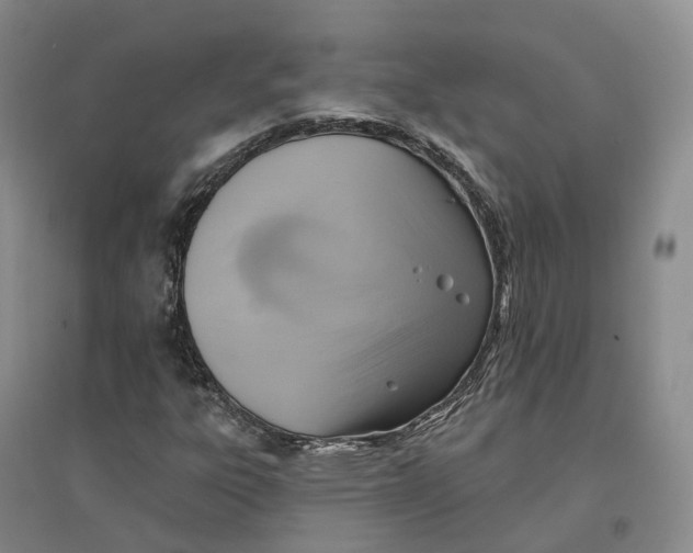 X0000096711303200802261619